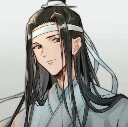 蓝忘机【魔道祖师】