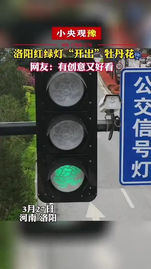 洛阳 牡丹花 红绿灯