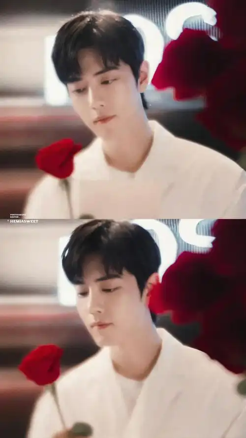 原创肖战最新广告大片合集roseonly双立人陌森眼镜京东电器