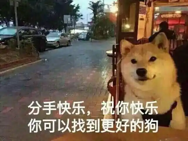 你可以找到更好的狗(单身狗 doge)表情包 - 日常表情包