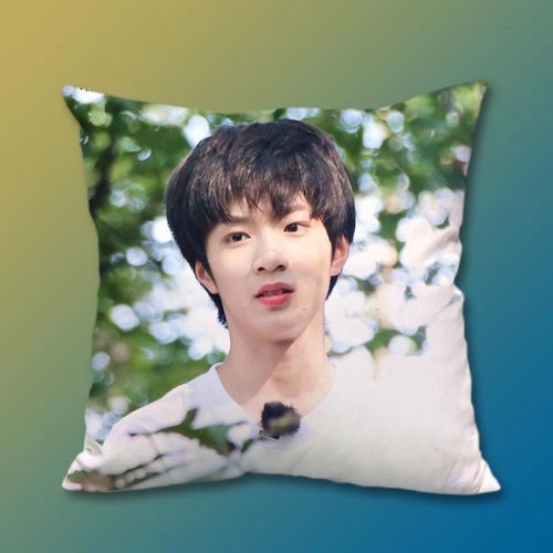 刘耀文周边定制照片抱枕时代少年团同款海报玩偶生日礼物床上靠垫