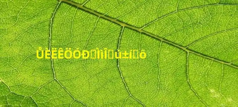 女人手有通天纹代表什么