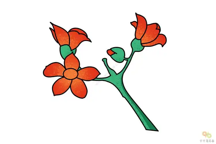 木棉花简笔画_花朵简笔画