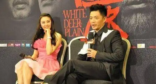 原创段奕宏毛遂自荐出演白鹿原黑娃凭借精湛的演技塑造了经典