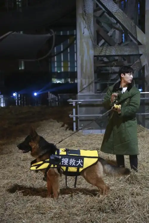 温暖厚重的军大衣 艺兴和哥哥们兄弟情的见证