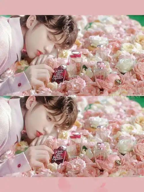 蔡徐坤绝美花仙子壁纸!