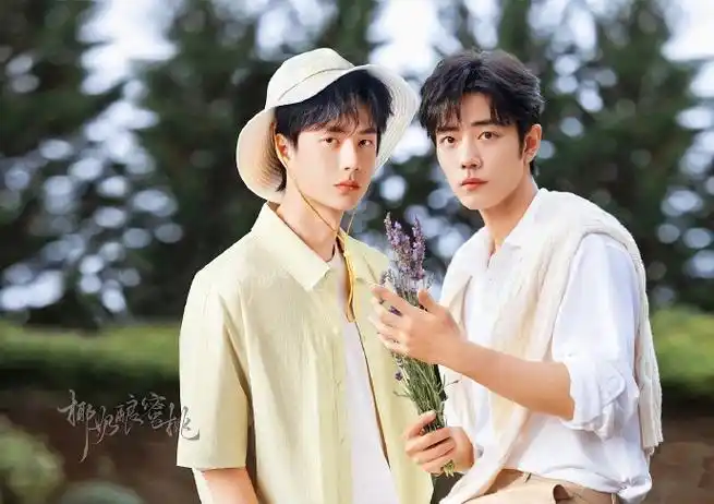 勤劳的博肖夫夫会照看好每一颗百香果    图收录于椰桃·bx双人修图