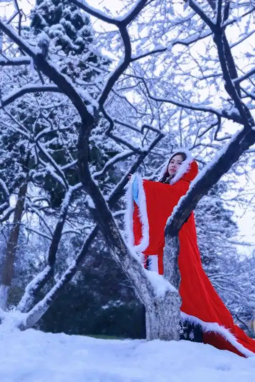 寒梅冲雪领春回 一袭红衣霂倾城