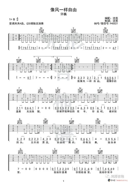 像风一样自由许巍