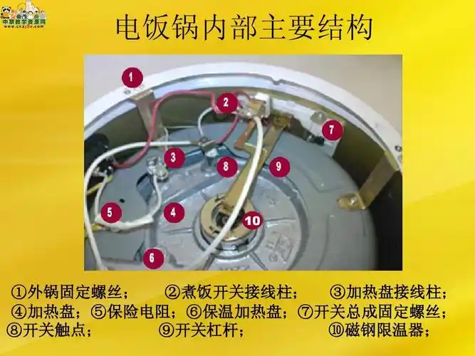 电饭锅保险丝在哪里 电饭煲不要保险管行吗?
