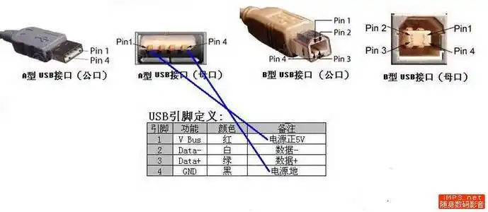 4个金手指靠边的长的脚,是电源的正负极,中间短的两条触片是数据传输
