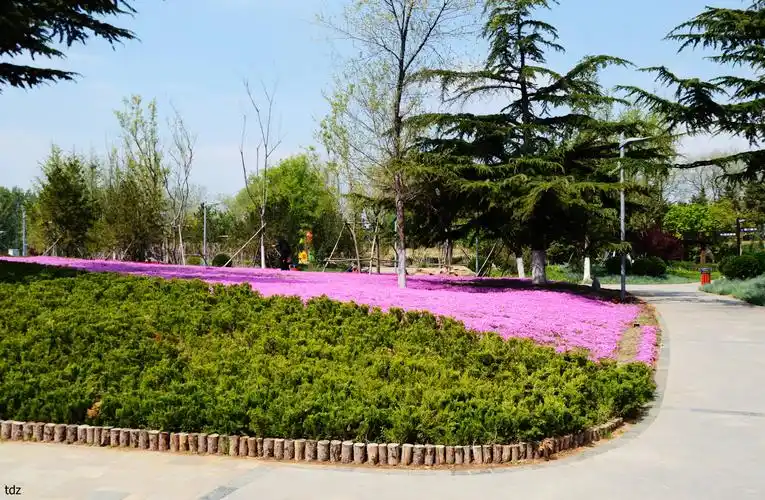 大美莱阳 人间仙境