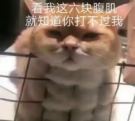 关于腹肌的斗图表情包合集|八块腹肌,我就问你怕不怕?