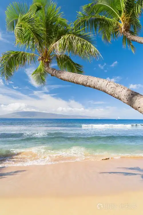 阳光灿烂的热带海滩