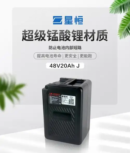 星恒锂电池48v20ahg款新国标电动车锂电池48v48v20ah雅迪口不含充电器