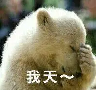 我天!(捂脸)