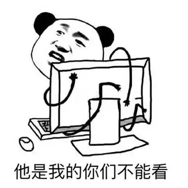 他是我的你们不能看(熊猫头抱住电脑)