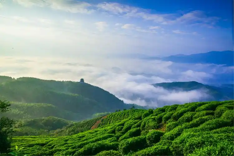 西九华山两日游358元/人