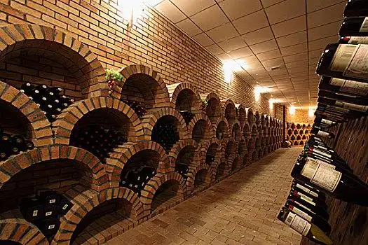 葡萄酒酒窖