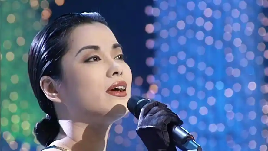 毛阿敏的事业再次迎来新高峰.