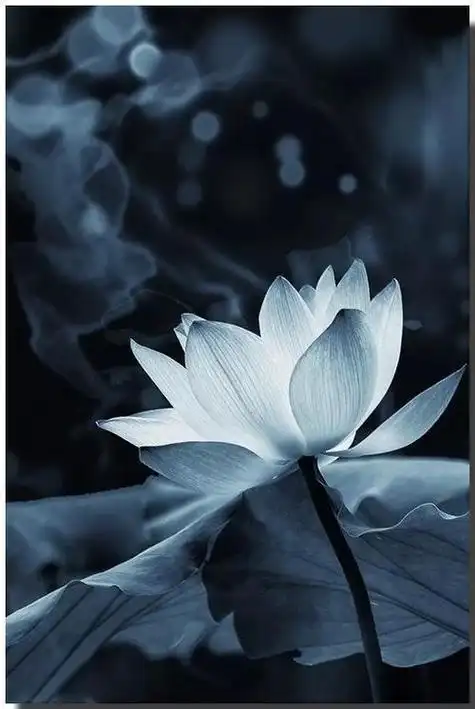 佛说禅意:她跪在广缘寺门前,要师父为自己剃度出家