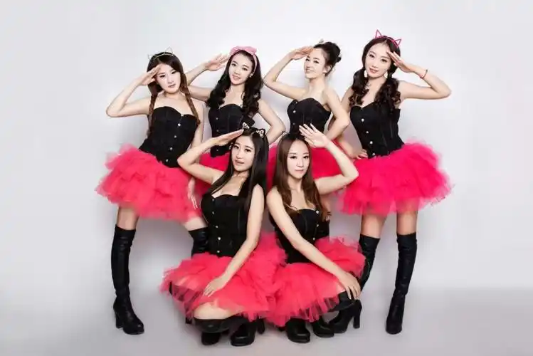 女子组合的成员都是明珠舞蹈团的精兵强将