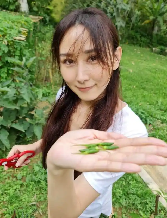 胡静难怪可以嫁豪门素颜照干净像少女穿长裙小清新没阔太架子