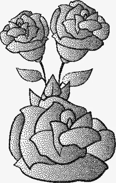 植物手绘点绘玫瑰