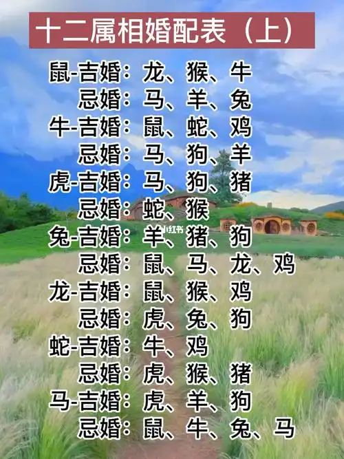 生肖属相配对可信吗