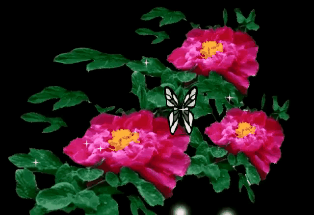 640_439gif 动态图 动图