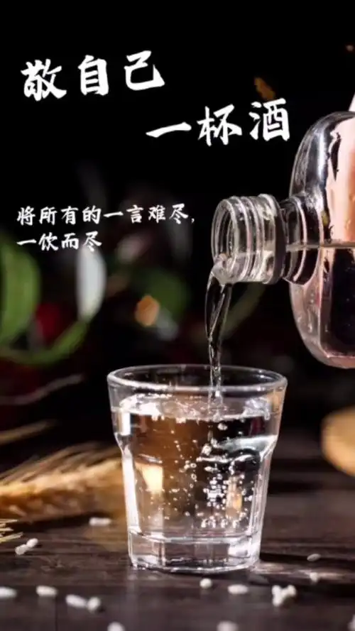 敬自己一杯酒,将所有的一言难尽,一饮而尽