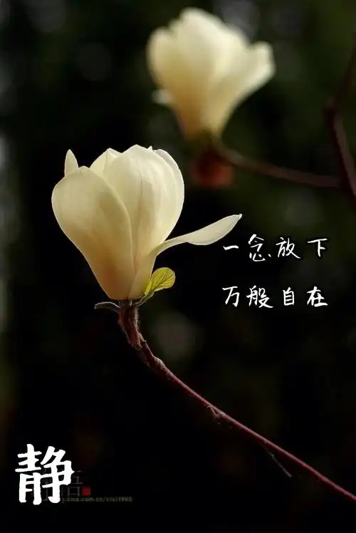 一念放下 万念皆空