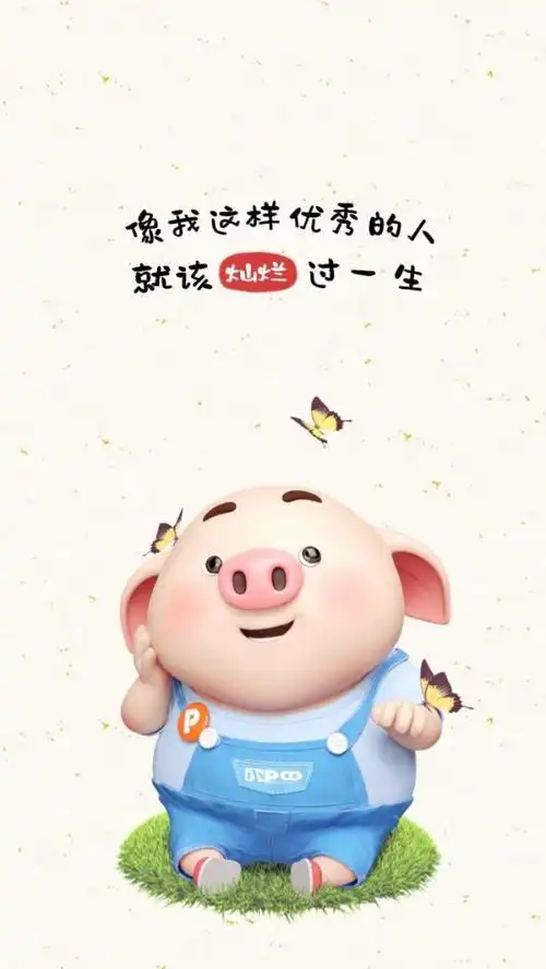 带字文字的猪猪壁纸图片无敌呆萌帅