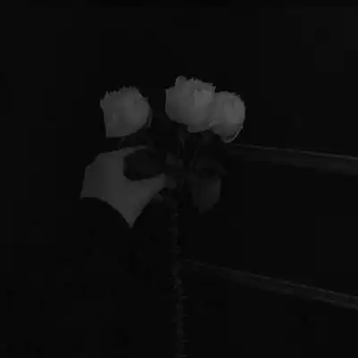 苏瓷暗黑系高冷背景压抑时尚成熟高冷