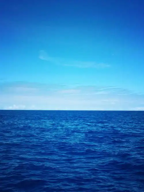 沉醉于甜蜜的蓝海中尽情享受蓝色鸦片