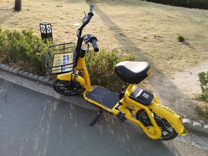 松果电单车到卢氏