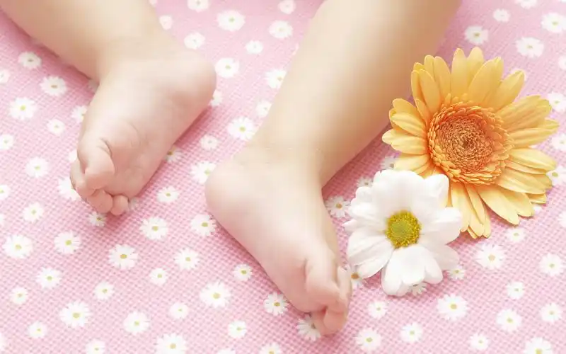 首页 电脑壁纸 可爱baby(宝宝) > || 更新时间:2018-08-26 颜色分