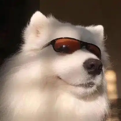 沙雕宠物狗头像