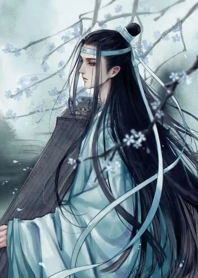 魔道祖师蓝忘机