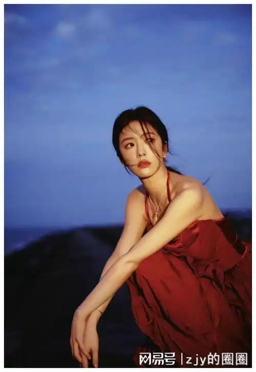 蔡文静背后的故事