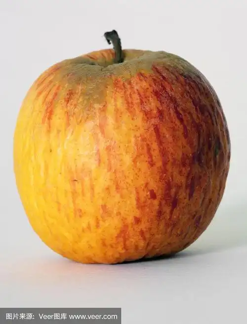 腐烂,干燥,衰老,皮肤起皱的苹果