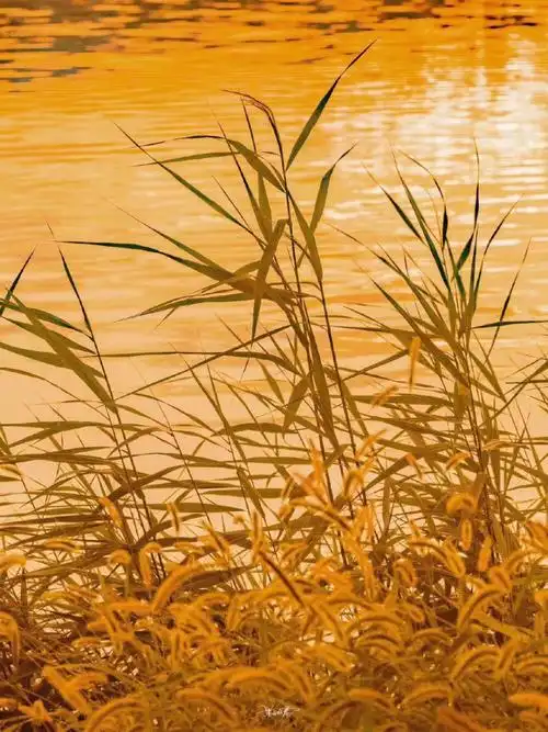 高级感冷淡风壁纸|ins小众