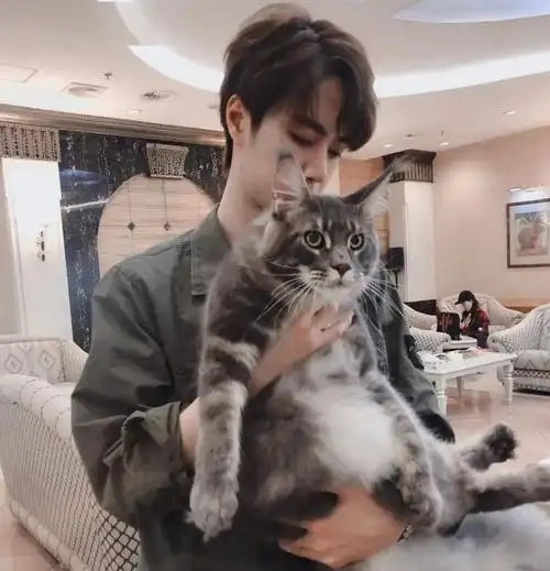 微信头像王一博