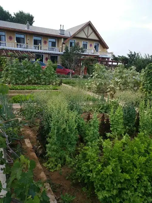 参观完协会,企业,车间,我们驱车前往贾会长的私人农庄