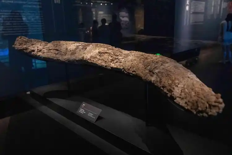 三星堆为什么被称20世纪人类最伟大考古发现之一