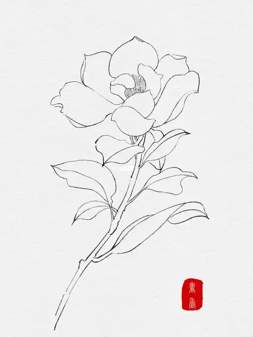 古风花卉线稿团练day1要坚持下去啊78#白鹿儿插画课#花卉线稿