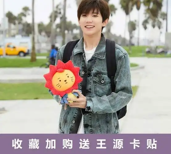 莱阳公仔王源同款应援物roy6源设计公仔毛d绒玩偶生日礼物女生