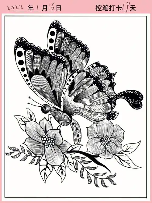 打卡第十九天线条练习1930蝴蝶黑白画