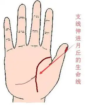 如果一个人的手相财运线分支延伸到月丘,而且月丘部位比较扁平低陷,那