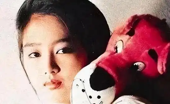 赖文慧我这辈子最幸福的事情就是成为刘德华的御用女舞伴